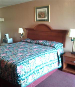 Shamrock Motel Χοτ Σπρινγκς Δωμάτιο φωτογραφία