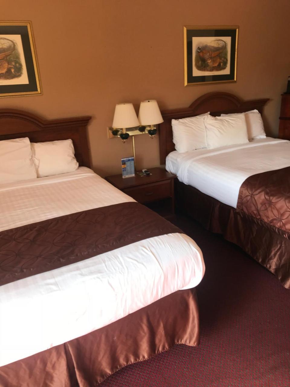 Shamrock Motel Χοτ Σπρινγκς Εξωτερικό φωτογραφία