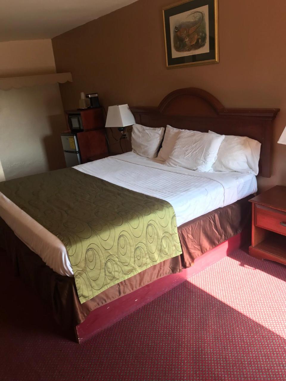 Shamrock Motel Χοτ Σπρινγκς Εξωτερικό φωτογραφία